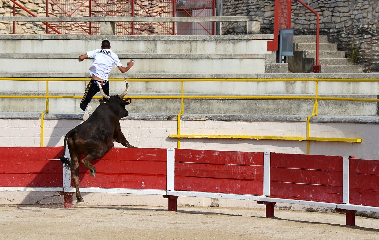 尼修斯
