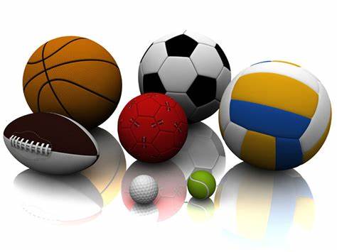 体育比赛 体育比赛