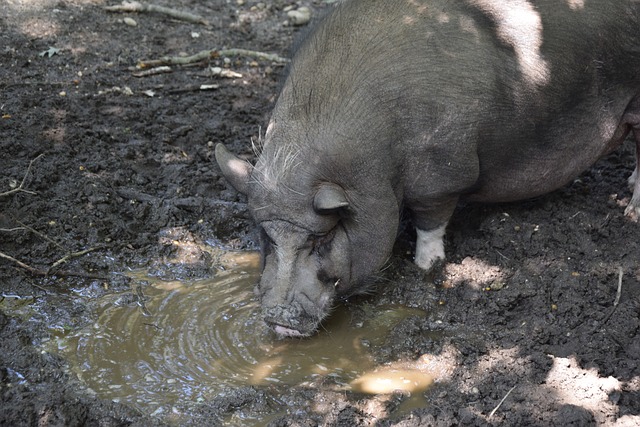 经逐渐接近 经逐渐接近
