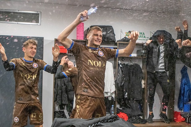 夏洛特黄蜂 夏洛特黄蜂