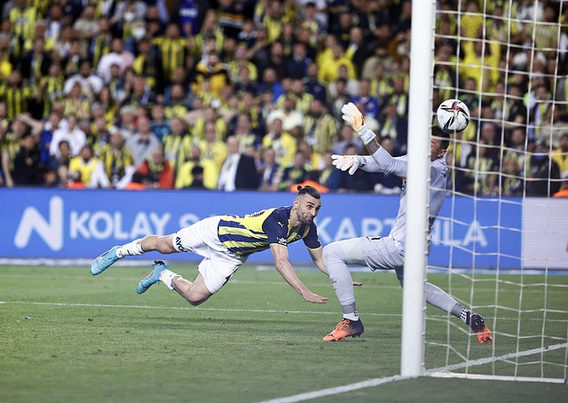 也可能带动 也可能带动