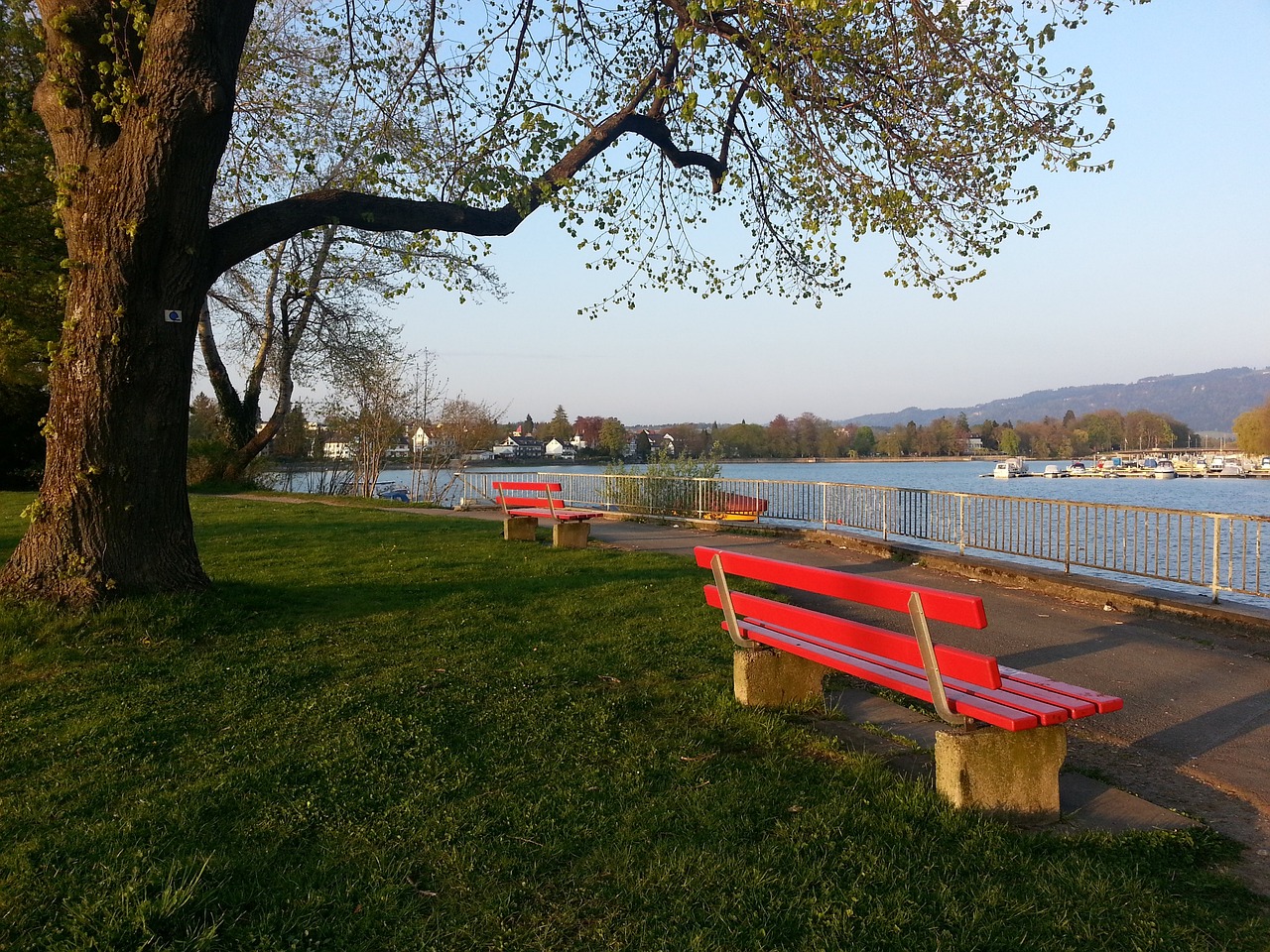 供了优越的 供了优越的