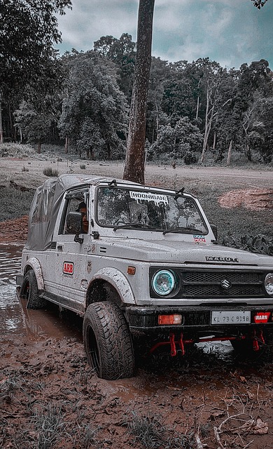 约条款与续 约条款与续